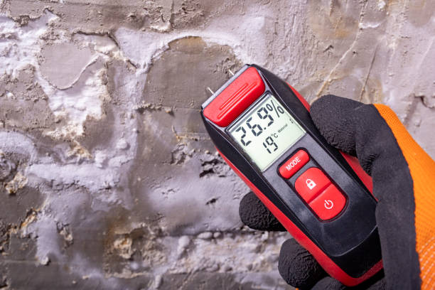 Best Professional Mold Removal  in Piedmont, CA