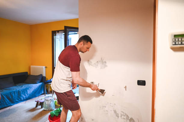 Best Toxic Mold Removal  in Piedmont, CA