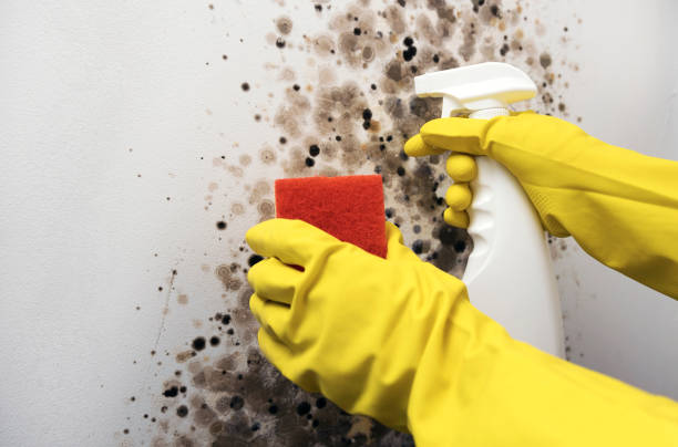 Water Damage Restoration in Piedmont, CA